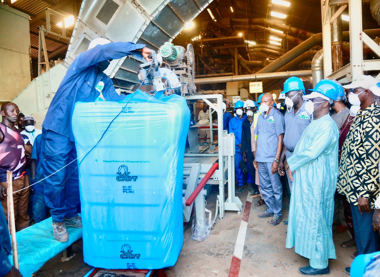 Classement mondial 2023 des grands producteurs de coton: Le Mali dans le top 10